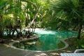 Property photo of 37/31-33 Mowbray Street Port Douglas QLD 4877