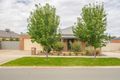 Property photo of 16 Jamieson Drive Echuca VIC 3564