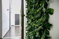 Property photo of 202/65-69 Addison Road Marrickville NSW 2204