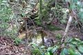 Property photo of 55 Cunning Road Tanawha QLD 4556