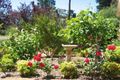 Property photo of 1 Victoria Street Katoomba NSW 2780