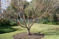 Property photo of 26 Satur Road Scone NSW 2337