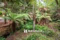 Property photo of 101 Belgrave-Gembrook Road Selby VIC 3159