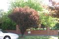 Property photo of 11 Laurel Avenue Linden Park SA 5065