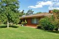 Property photo of 203 Old Backwater Road Narromine NSW 2821