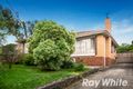 Property photo of 50 Torbay Street Macleod VIC 3085