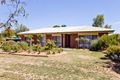 Property photo of 84 Daniel Avenue Globe Derby Park SA 5110
