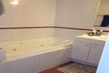 Property photo of 602/261 Harris Street Pyrmont NSW 2009
