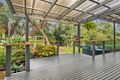 Property photo of 49 Austin Avenue McCrae VIC 3938