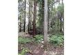 Property photo of 11 Mimosa Road Springbrook QLD 4213
