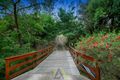 Property photo of 41 Seaview Road Frankston South VIC 3199