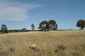 Property photo of 41 Pardalote Place Glenmore Park NSW 2745