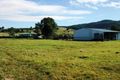 Property photo of 110 Tunstall Road Bunjurgen QLD 4310