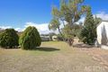 Property photo of 7 Mistral Street Falcon WA 6210