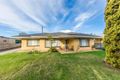 Property photo of 6 Elizabeth Avenue Nuriootpa SA 5355