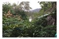 Property photo of 69/65 Kilcoy Lane Conondale QLD 4552