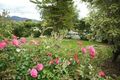 Property photo of 10 Stapleton Street Glenorchy TAS 7010