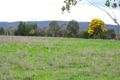Property photo of 691 Belowra Road Young NSW 2594
