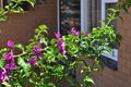 Property photo of 22 Watkins Street White Gum Valley WA 6162