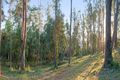 Property photo of 379 Avoca Drive Green Point NSW 2251