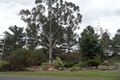 Property photo of LOT 2 Pine Crescent Dalveen QLD 4374