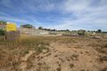 Property photo of 4 Meharry Place Minto NSW 2566