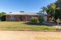Property photo of 115 Garden Avenue Narromine NSW 2821