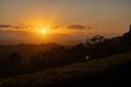 Property photo of 59 Ensbey Road Bald Knob QLD 4552