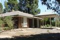 Property photo of 47 Mills Road Berri SA 5343