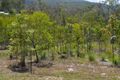 Property photo of 21 Natasha Close Koah QLD 4881