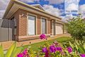 Property photo of 22 The Avenue Blakeview SA 5114