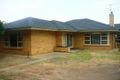 Property photo of 19 Greenock Road Nuriootpa SA 5355