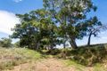 Property photo of 2284 Ridley Road Angas Valley SA 5238