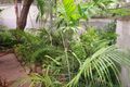 Property photo of 103 Camms Road Cawarral QLD 4702