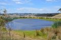 Property photo of 216 Grand Ridge Road Seaview VIC 3821