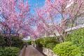 Property photo of 42/3 Victoria Street Bowral NSW 2576