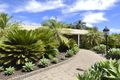 Property photo of 267 Morpung Avenue Irymple VIC 3498
