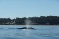 Property photo of 2 Sandy Place Long Beach NSW 2536