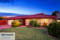 Property photo of 11 Nellie Street Parafield Gardens SA 5107