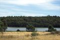 Property photo of 20 Berne Court Grindelwald TAS 7277