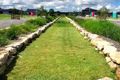 Property photo of 26 Easton Avenue Spring Farm NSW 2570