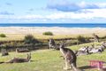 Property photo of 57 Kurrawa Drive Kioloa NSW 2539