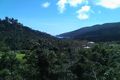 Property photo of 2870 Shute Harbour Road Flametree QLD 4802