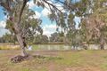Property photo of 98 Neilpo Road Wentworth NSW 2648