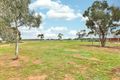 Property photo of 98 Neilpo Road Wentworth NSW 2648