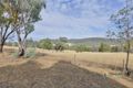 Property photo of 177 Braefarm Road Moonbi NSW 2353