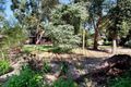Property photo of 14 Steen Avenue Shoreham VIC 3916