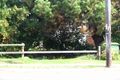 Property photo of Dee Why Parade Dee Why NSW 2099