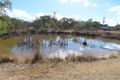 Property photo of LOT 71 Wallace Court Glen Aplin QLD 4381