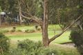 Property photo of 1 Teralba Close Dingley Village VIC 3172